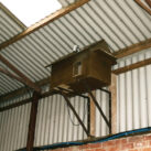 Crow Ecology Barn Owls 1