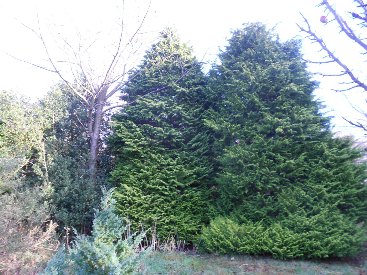 DSCN2461-scaled.jpg
