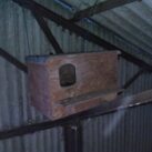 Barn owl box