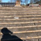 Bat Mitigation Licence Works - Roof stripping Bat Mitigation Licence Works - Roof stripping