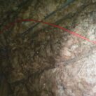 Bat droppings 4 Bat droppings 4