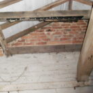 Brown long-eared bat Brown long-eared bat