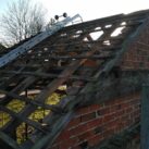 Low Impact Bat Mitigation Licence Works - Roof stripping Low Impact Bat Mitigation Licence Works - Roof stripping